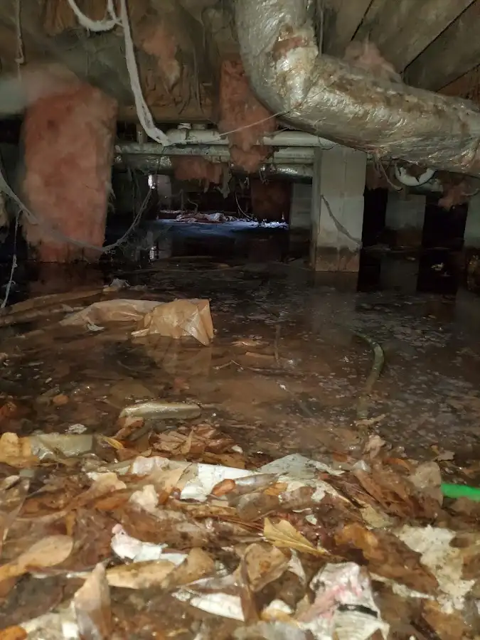 Crawl space flood assessment for Commercial Water Damage Restoration in Hales Corners