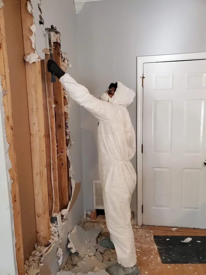 Water Damage Restoration services in Hales Corners, WI